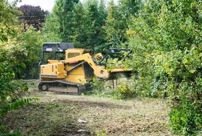 Machinery at Work on Land Clearing