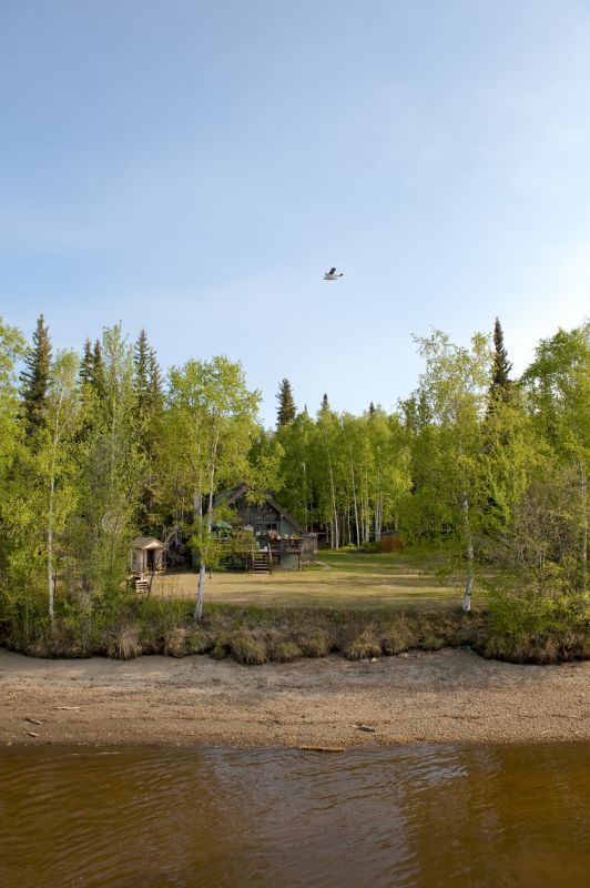 Spring Land Clearing