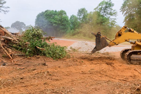 Cost of Forestry Mulching Service in Doylestown