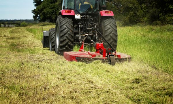 Brush Clearing Service in Doylestown