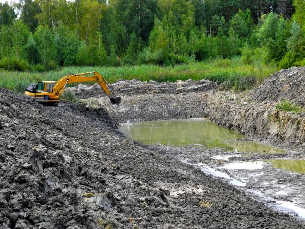 Cost of Lake Lot Clearing in Doylestown