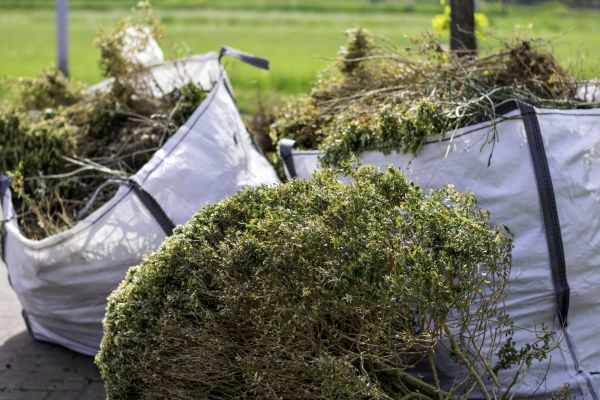 Cost of Bushes Clearing in Doylestown