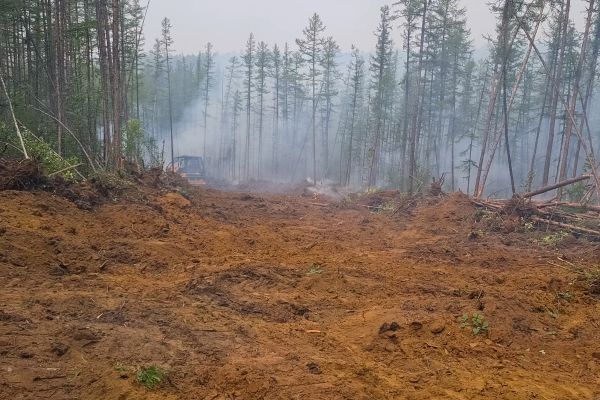 Cost of Hill Clearing in Doylestown