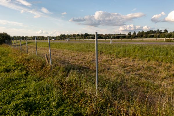 Cost of Property Line Clearing in Doylestown