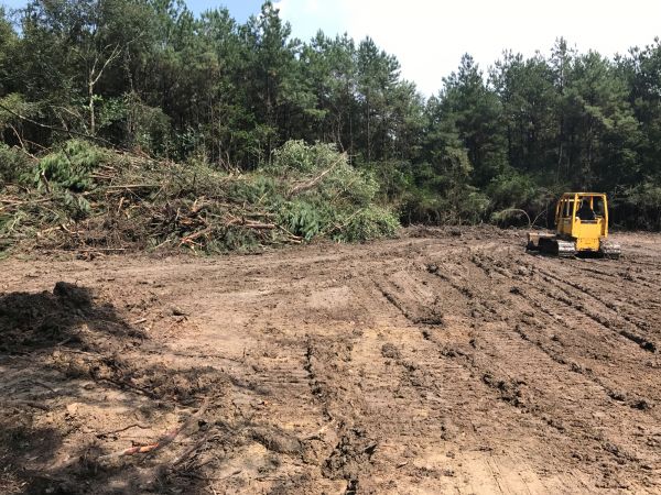 Cost of Thicket Clearing in Doylestown