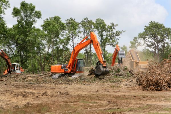 Cost of Commercial Lot Clearing in Doylestown